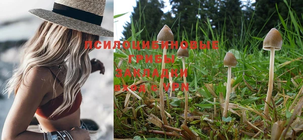 дмт Балабаново
