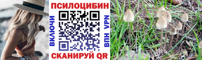 Псилоцибиновые грибы GOLDEN TEACHER Боровск